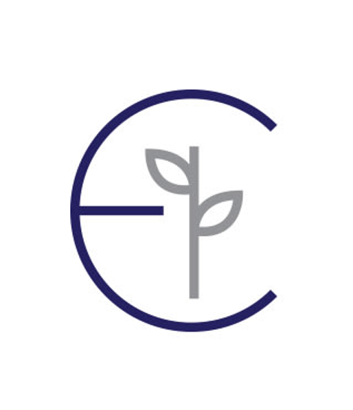Ethos Symbol Logo Zoomed